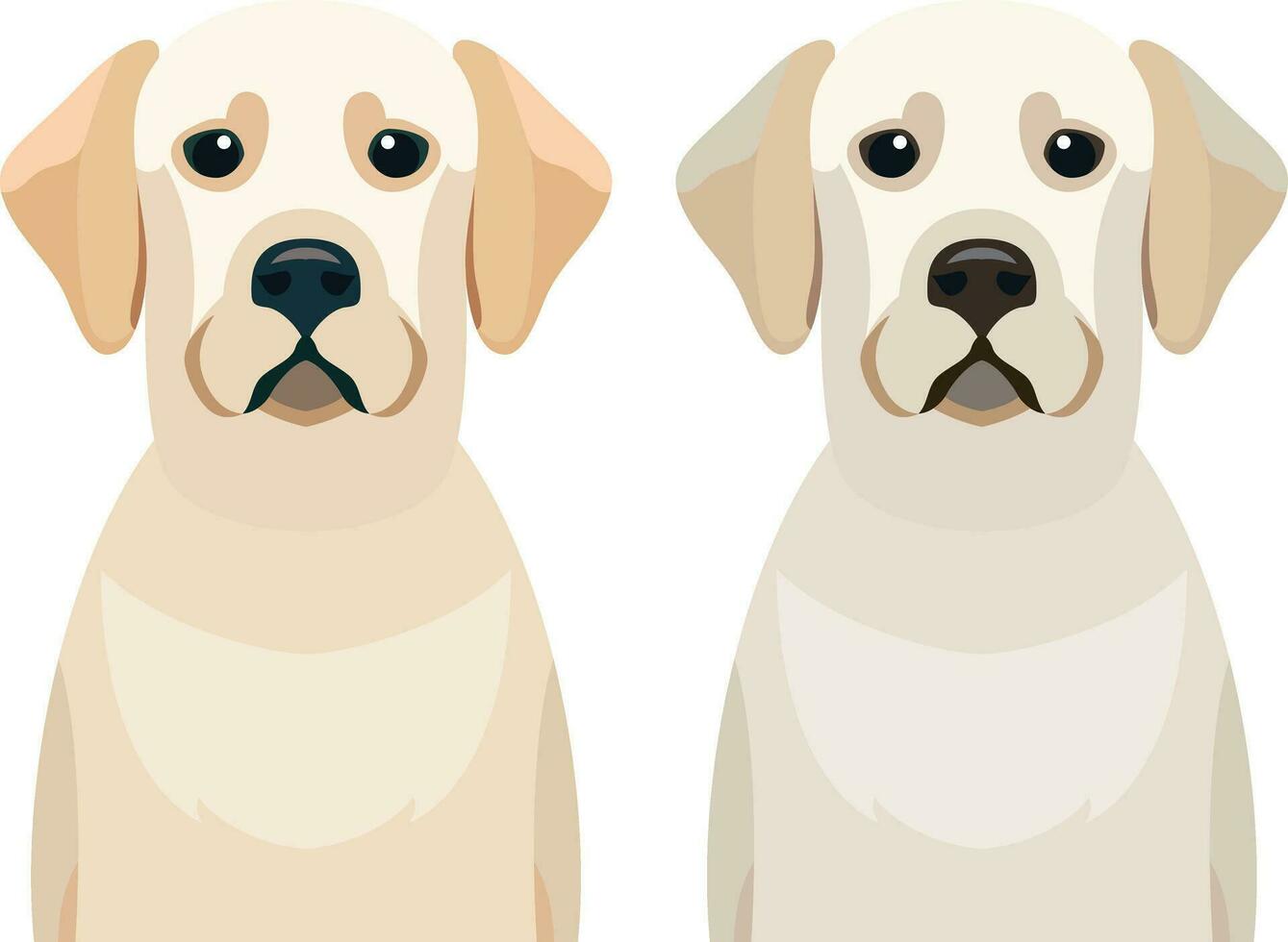 Labrador Retriever flat style stock vector illustration, Lab, yellow color and white Labrador retriever dogs stock vector image