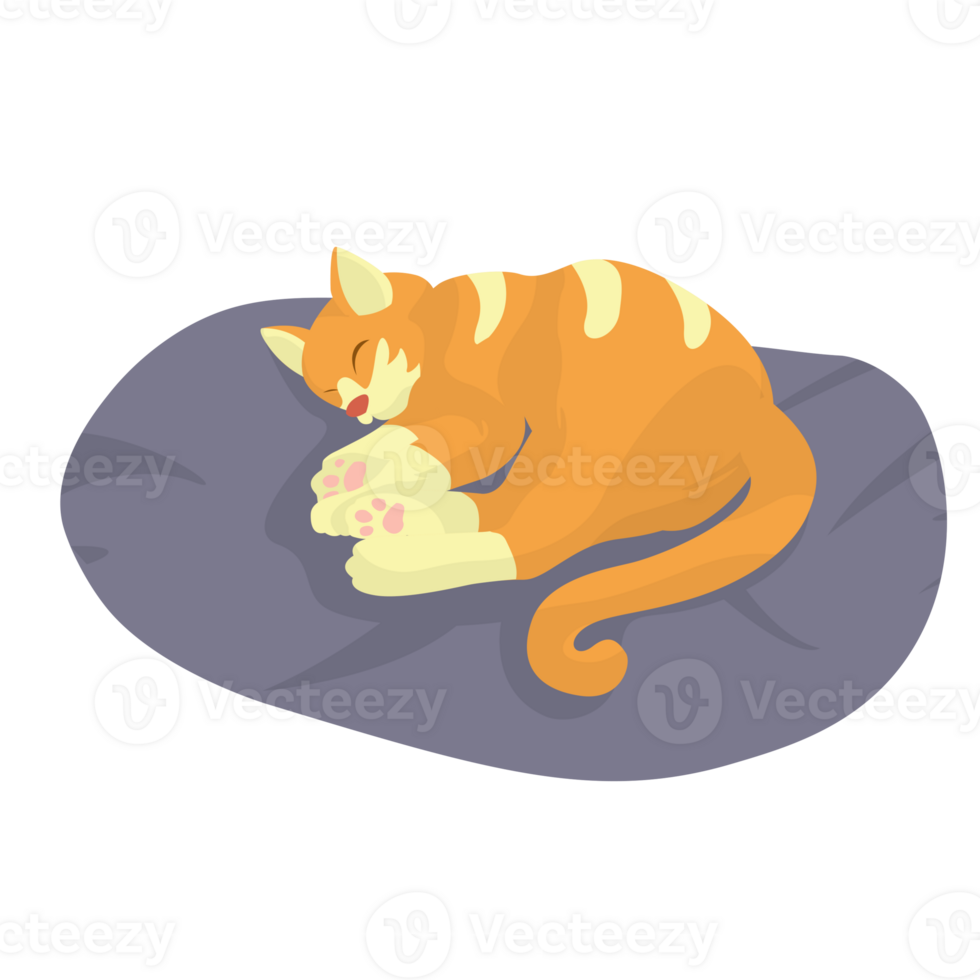 Cat Sleep on the Bad Illustration png