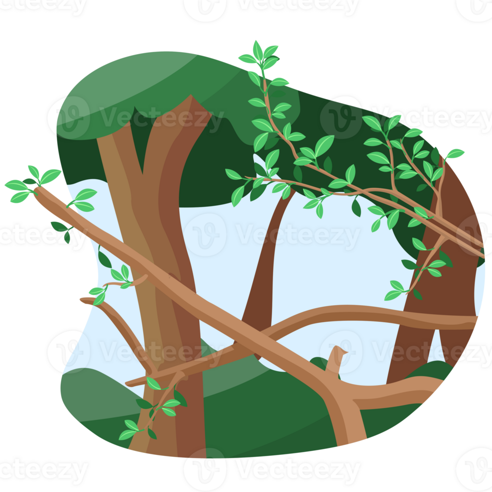 ramoscello foresta scenario illustrazione png