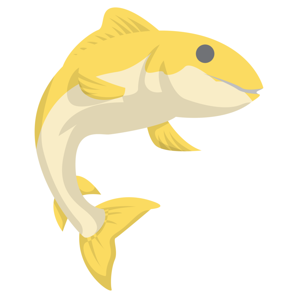 Yellow Fish Illustrations png