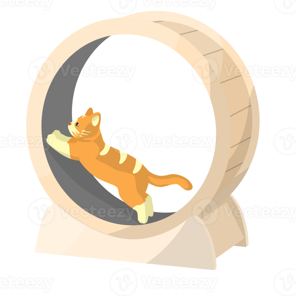 Cat Playing on the Running Roller Illustration png