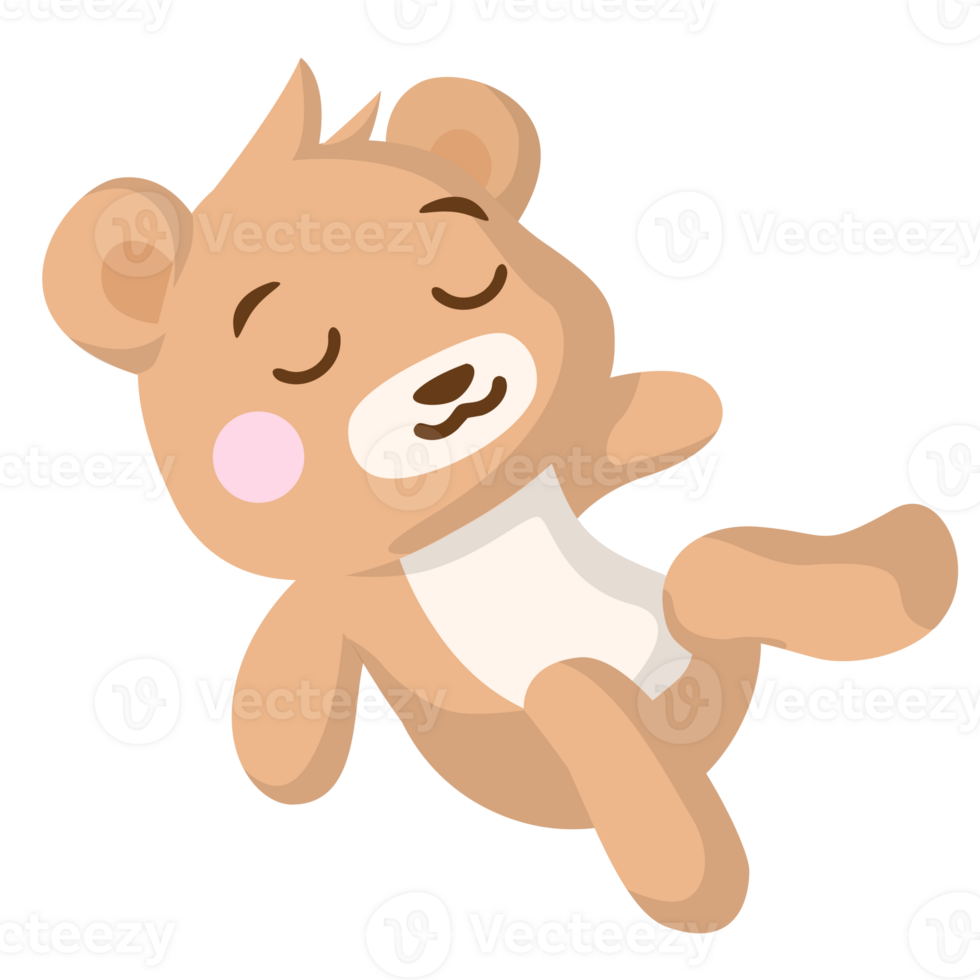 Little Bear Sleep Illustrations png