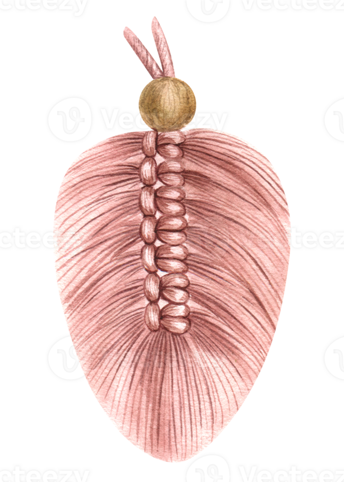 tricotado tecido com tricô agulhas. tricô, uma bola do fio. aguarela ilustração, desenhado à mão, isolado. para produtos embalagem projeto, tecelão blog, bordado loja png