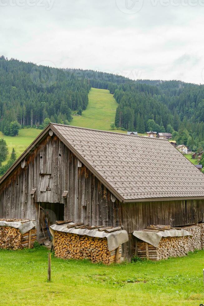 summer time in austria photo