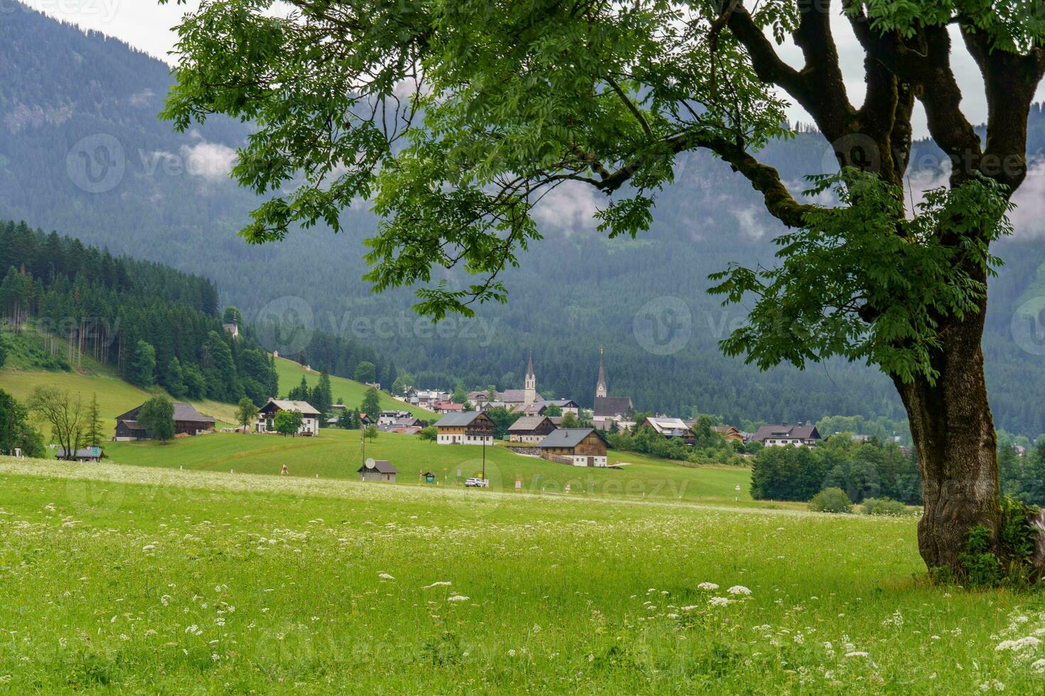 summer time in austria photo