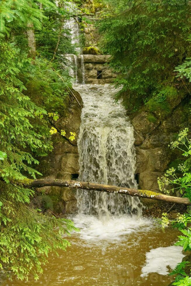 summer time in austria photo