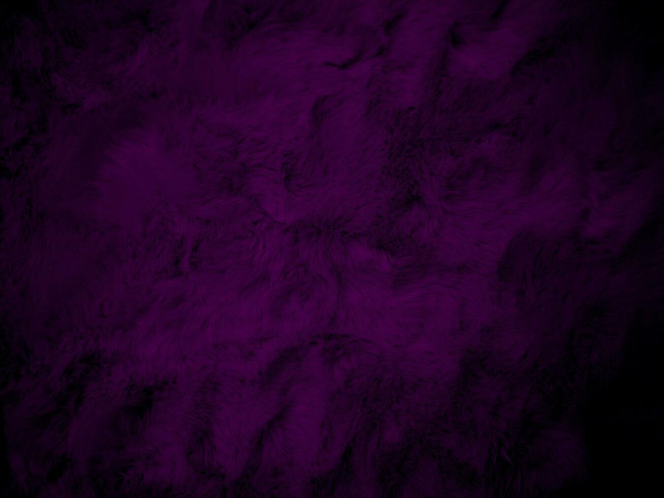 Purple velvet fabric texture used as background. Empty purple fabric background of soft and smooth textile material. There is space for text photo