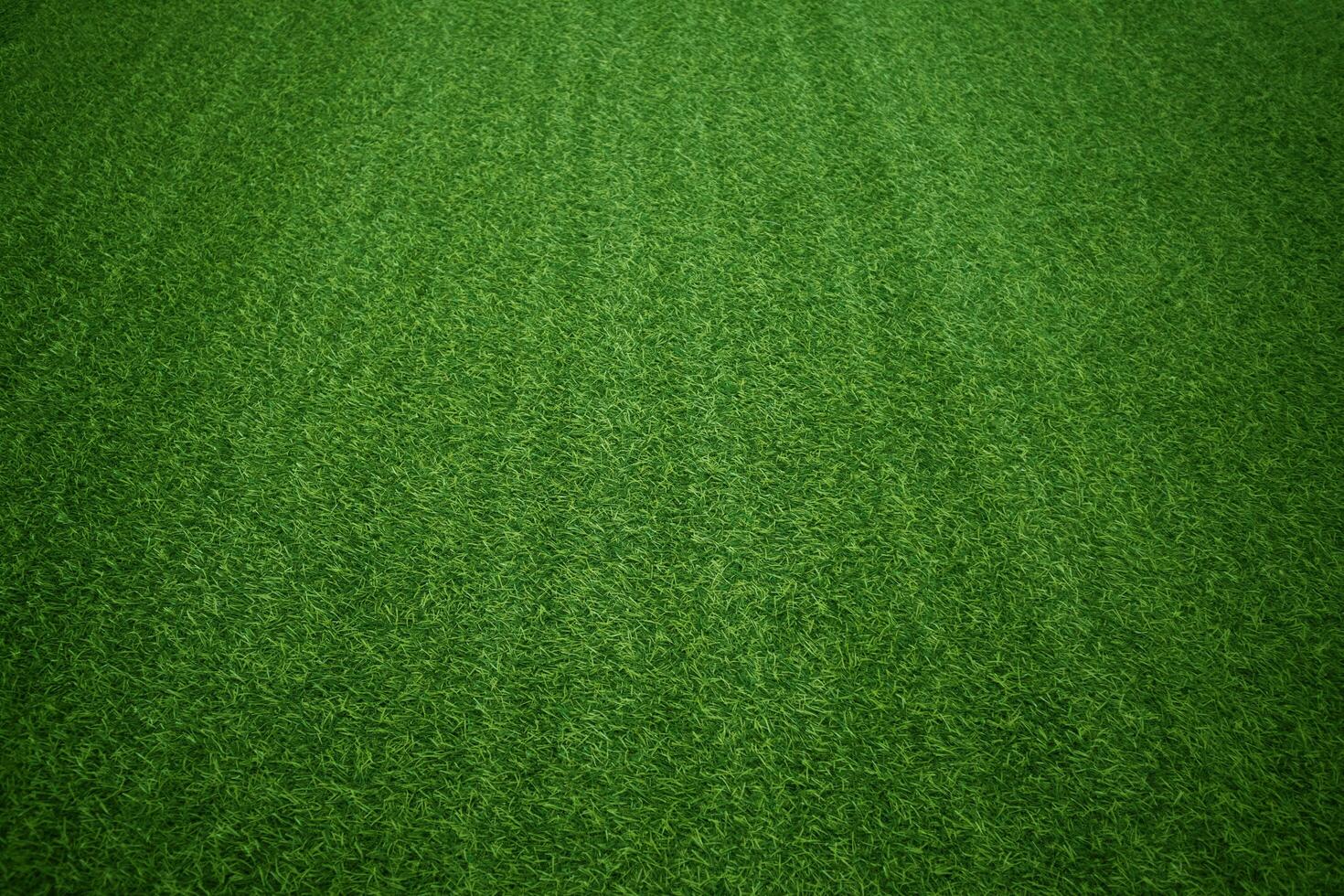 Green grass texture background grass garden concept used for making green background football pitch, Grass Golf, green lawn pattern textured background. photo