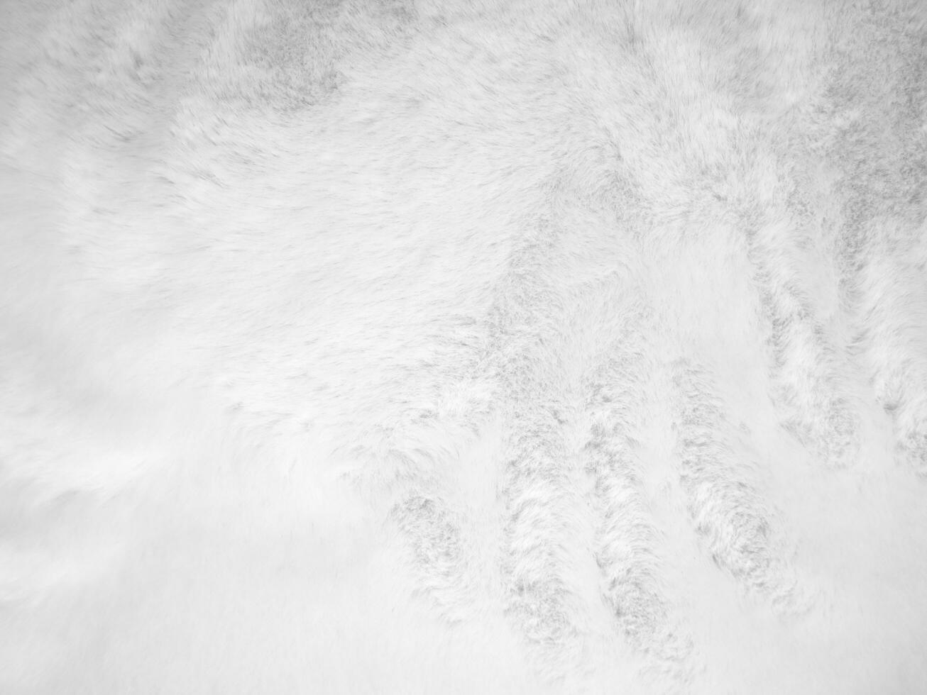 White clean wool texture background. light natural sheep wool. white seamless cotton. texture of fluffy fur for designers. close-up fragment white wool carpet. photo