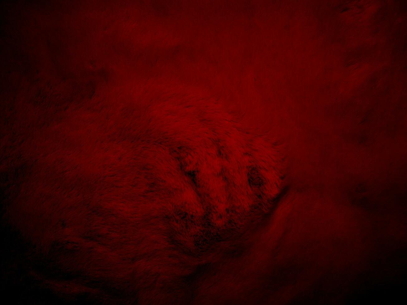 red clean wool texture background abstract. gradient black natural hair wool. white seamless cotton. texture of fluffy fur for designers. luxury scarlet for silk fragment wool carpet. photo