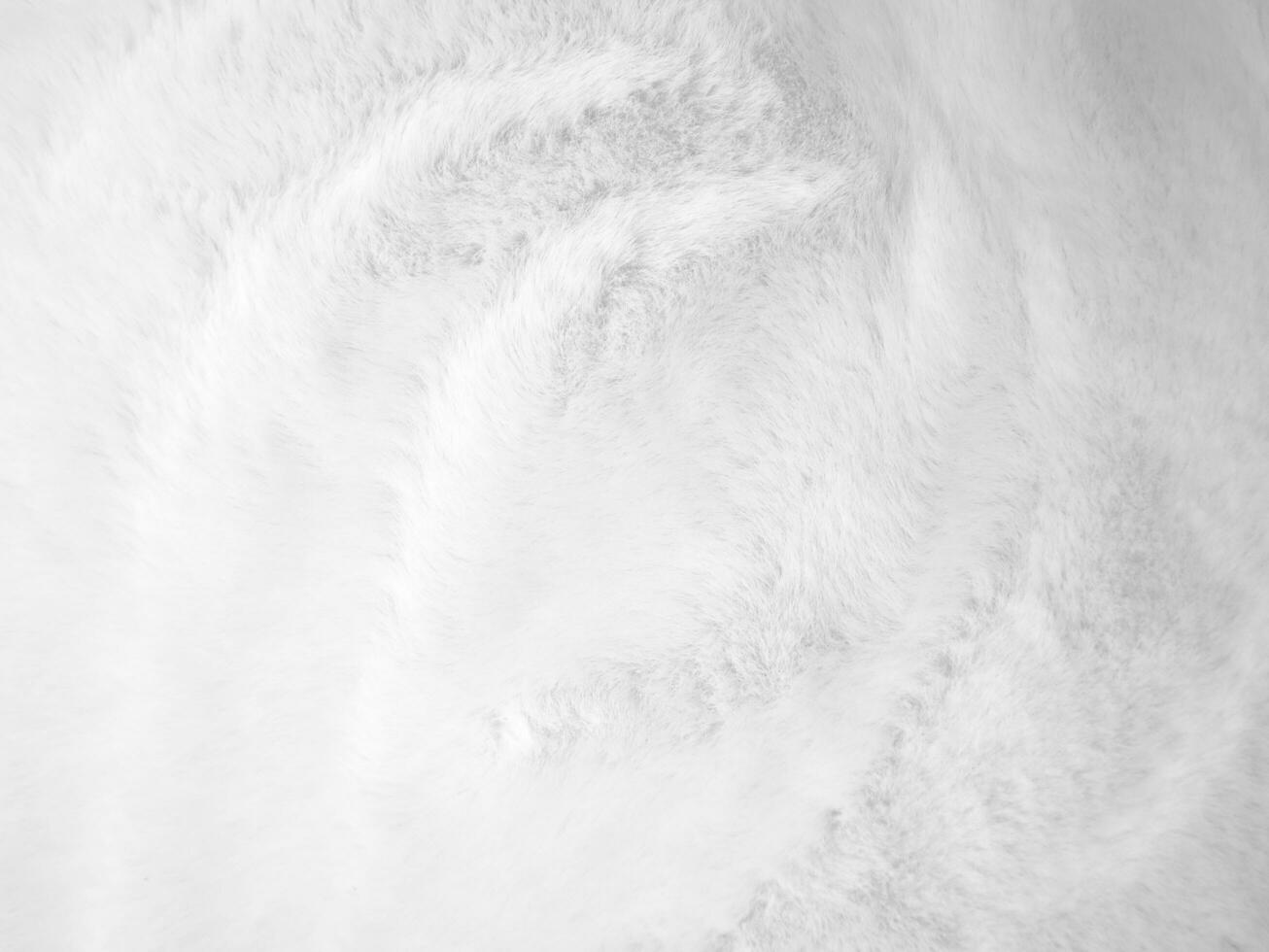 White clean wool texture background. light natural sheep wool. white seamless cotton. texture of fluffy fur for designers. close-up fragment white wool carpet. photo