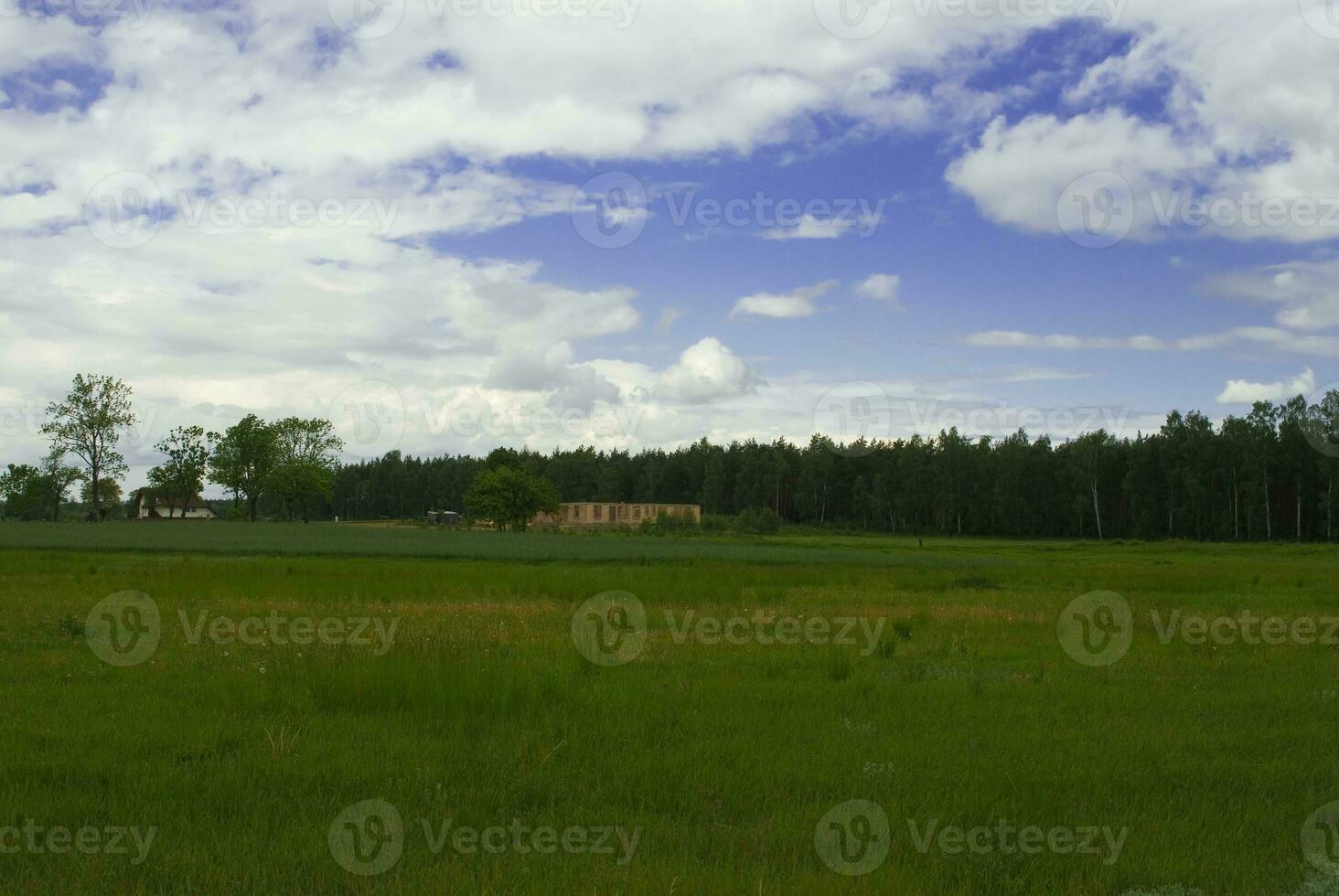 natural green spring rural calm landscape with blue sky photo