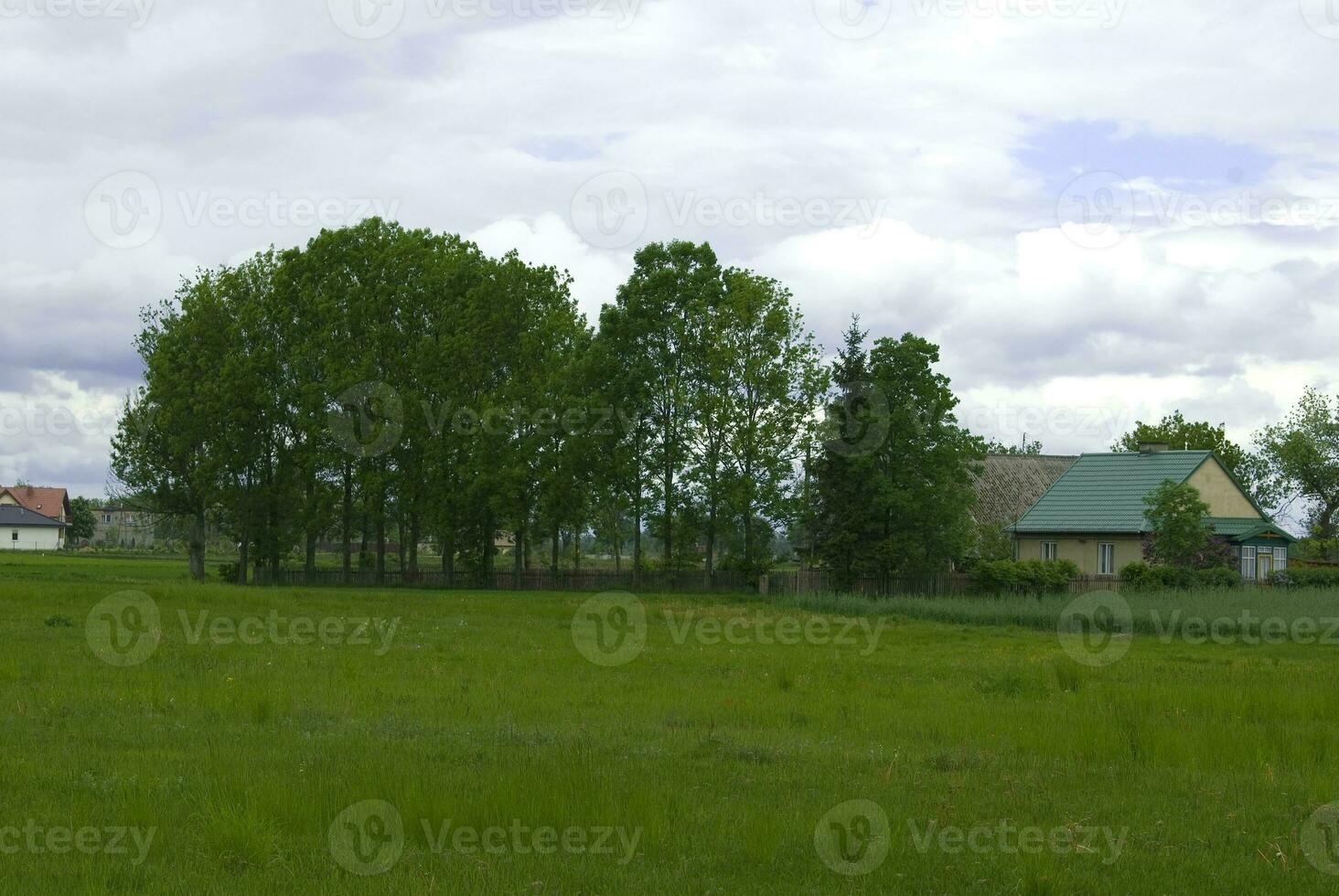 natural green spring rural calm landscape with blue sky photo