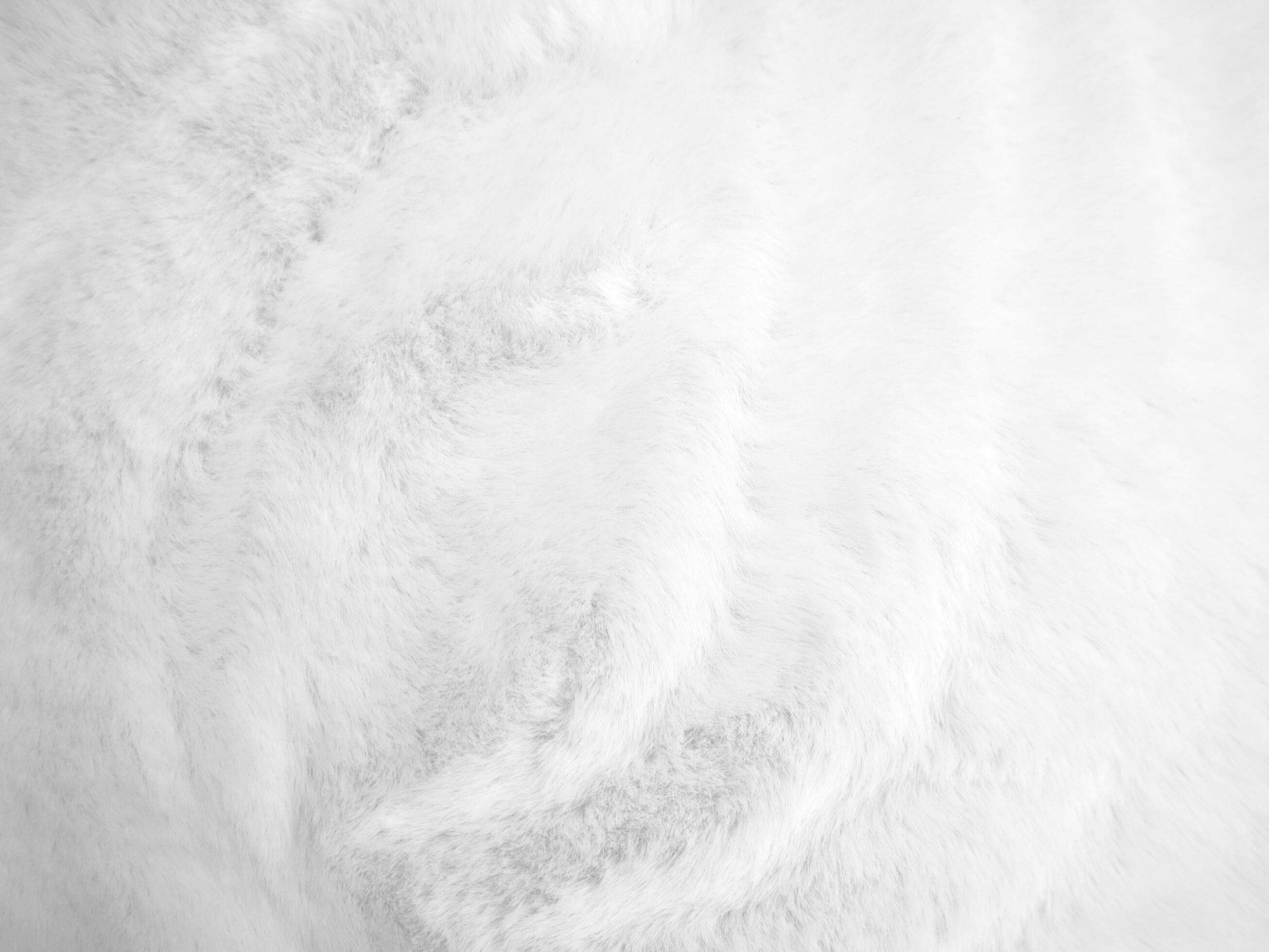 White clean wool texture background. light natural sheep wool. white