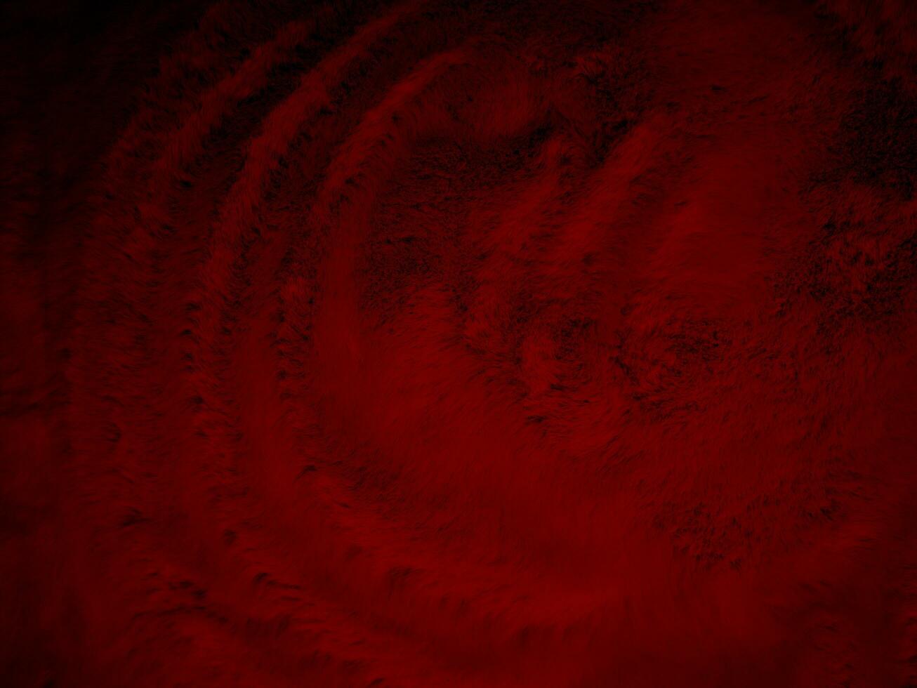 red clean wool texture background abstract. gradient black natural hair wool. white seamless cotton. texture of fluffy fur for designers. luxury scarlet for silk fragment wool carpet. photo