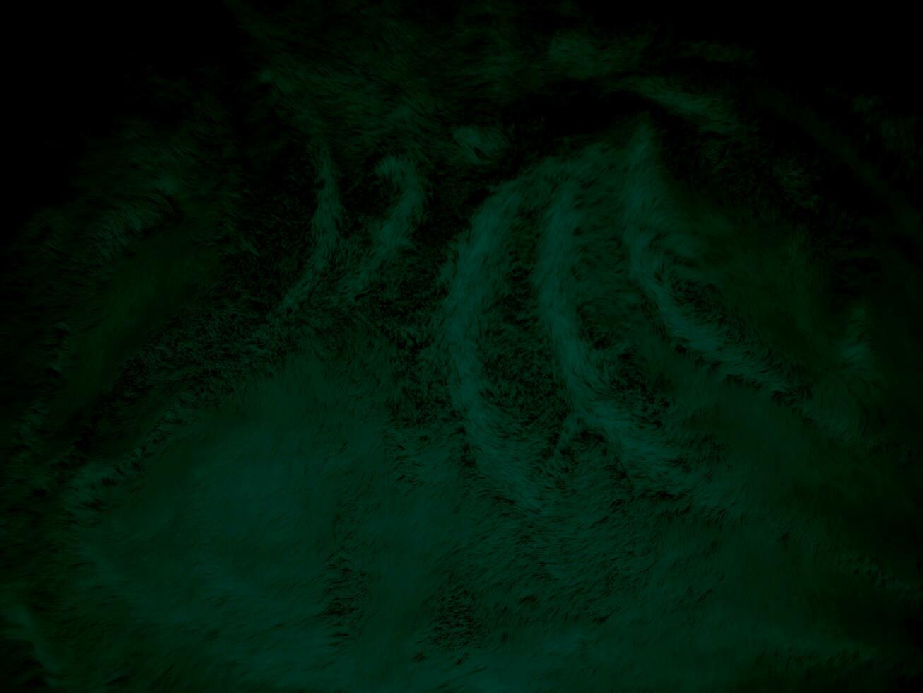 green clean wool texture background abstract. gradient black natural hair wool. white seamless cotton. texture of fluffy fur for designers. close-up fragment white wool carpet. photo