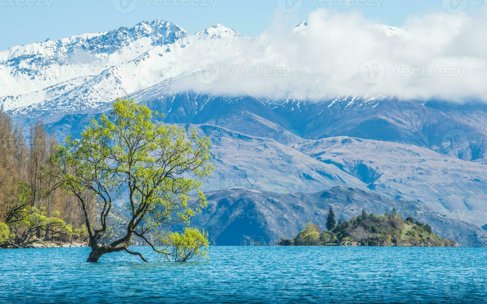 The Lone tree of lake Wanaka the fouth largest lake of New Zealand in spring season. photo