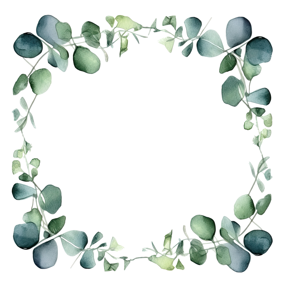 Watercolor eucalyptus leaves frame isolated png