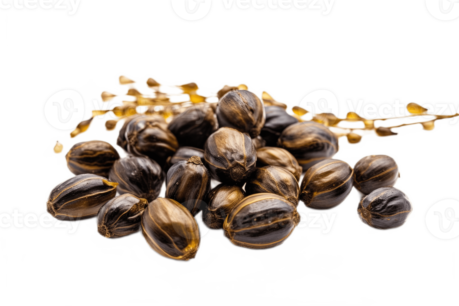 Castor oil seeds isolated on transparent background. PNG file, cut out. AI Generated