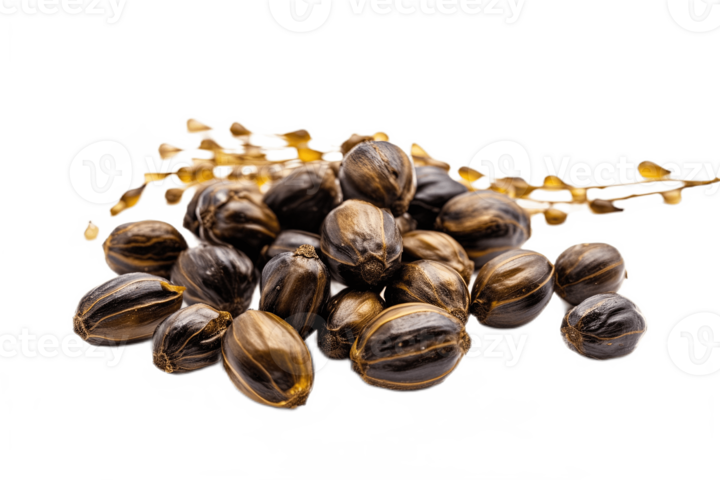 Castor oil seeds isolated on transparent background. PNG file, cut out. AI Generated