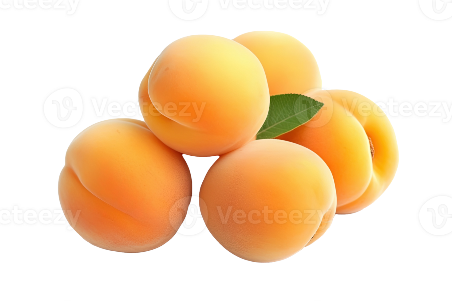 Apricot isolated on transparent background. PNG file, cut out. AI Generated