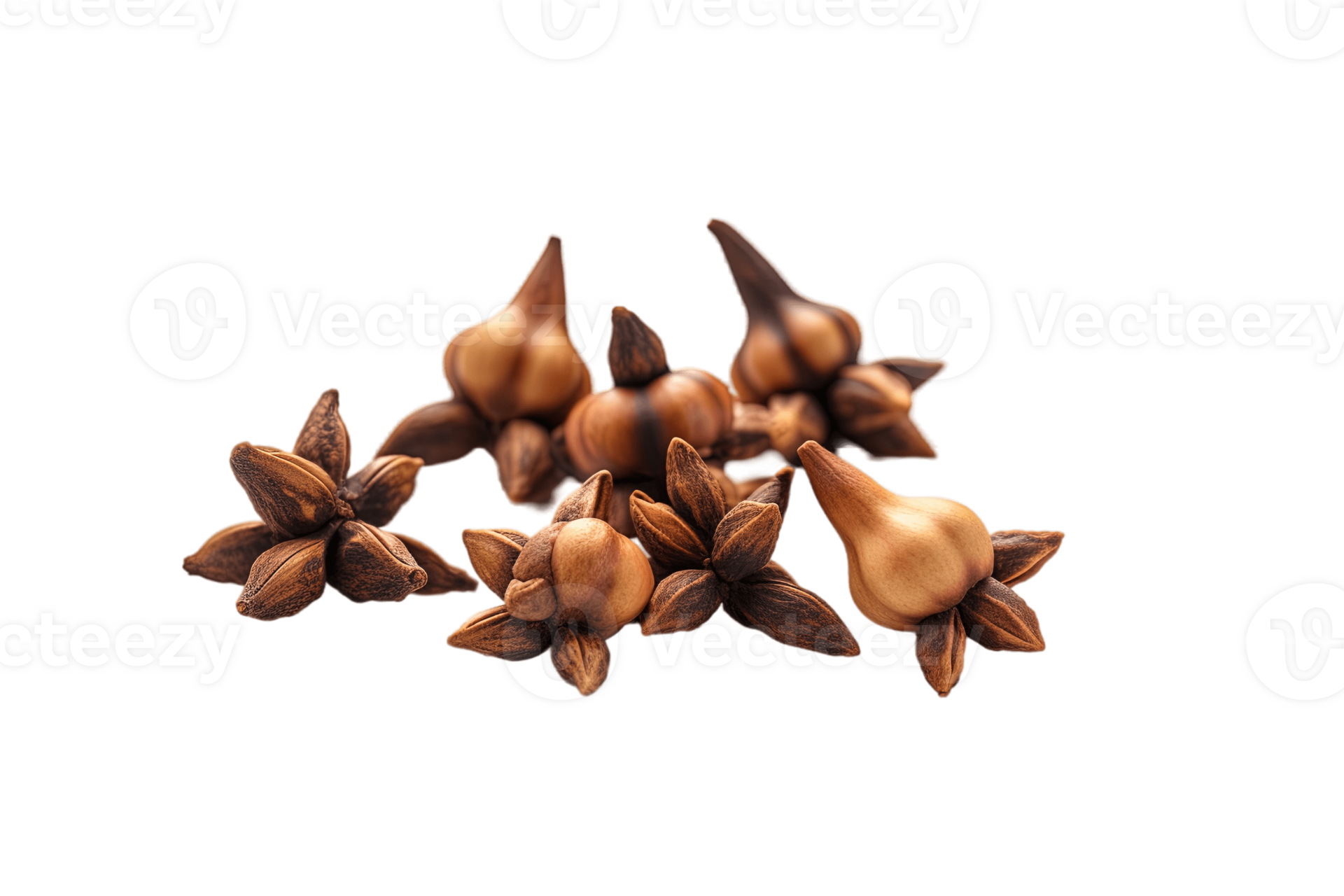 Clove Flower Buds Isolated On Transparent Background PNG File Cut Out Clove Flower Buds Isolated On Transparent Background File Cut Out Ai Generated Png