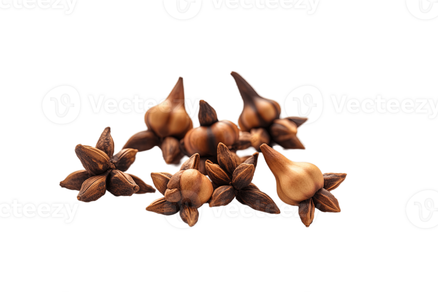 Clove flower buds isolated on transparent background. PNG file, cut out. AI Generated