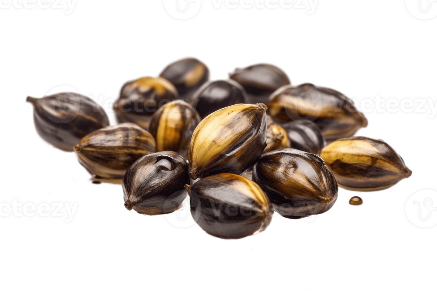 Castor oil seeds isolated on transparent background. PNG file, cut out. AI Generated