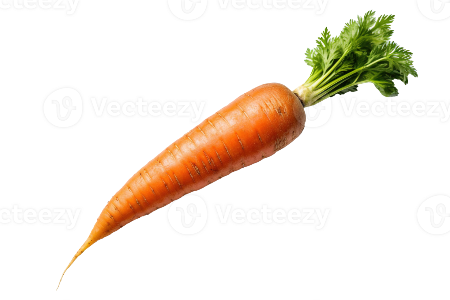 Carrot isolated on transparent background. PNG file, cut out. AI Generated