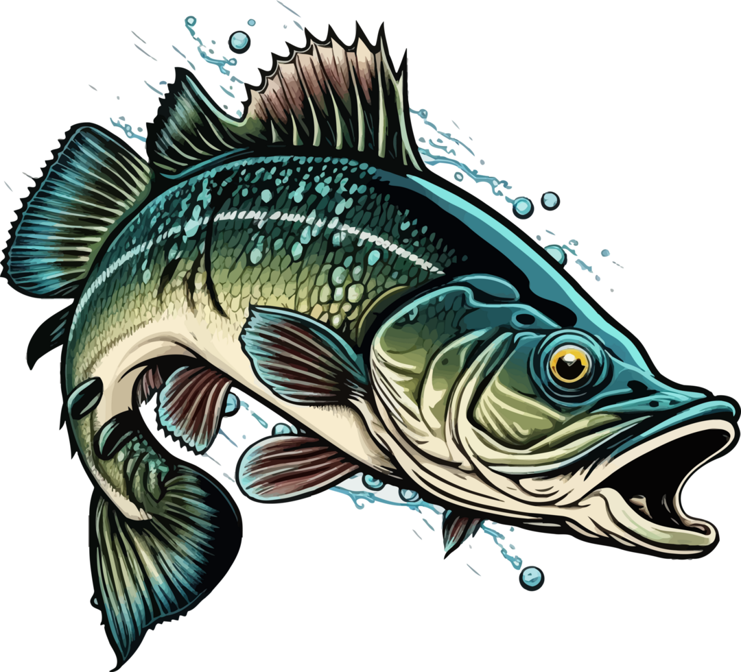 Big bass fish vector cartoon for t shirt Big bass fish t shirt design png
