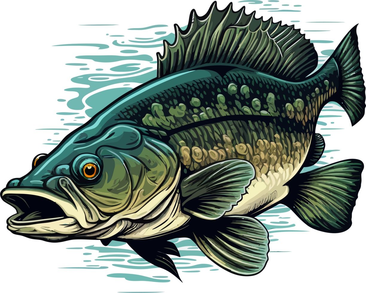 Big bass fish vector cartoon for t shirt Big bass fish t shirt design png