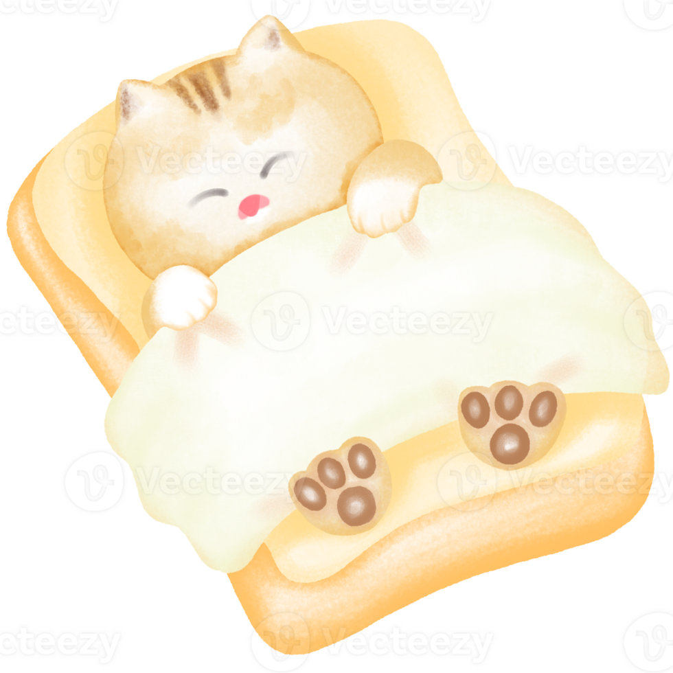 The yellow kitten sleeps happily on the soft cushion png