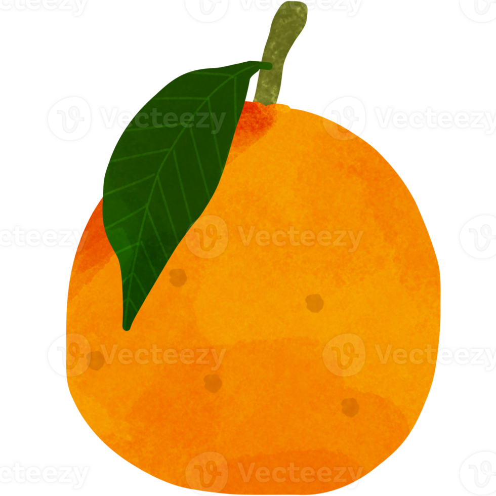 orange fruit with leaf png