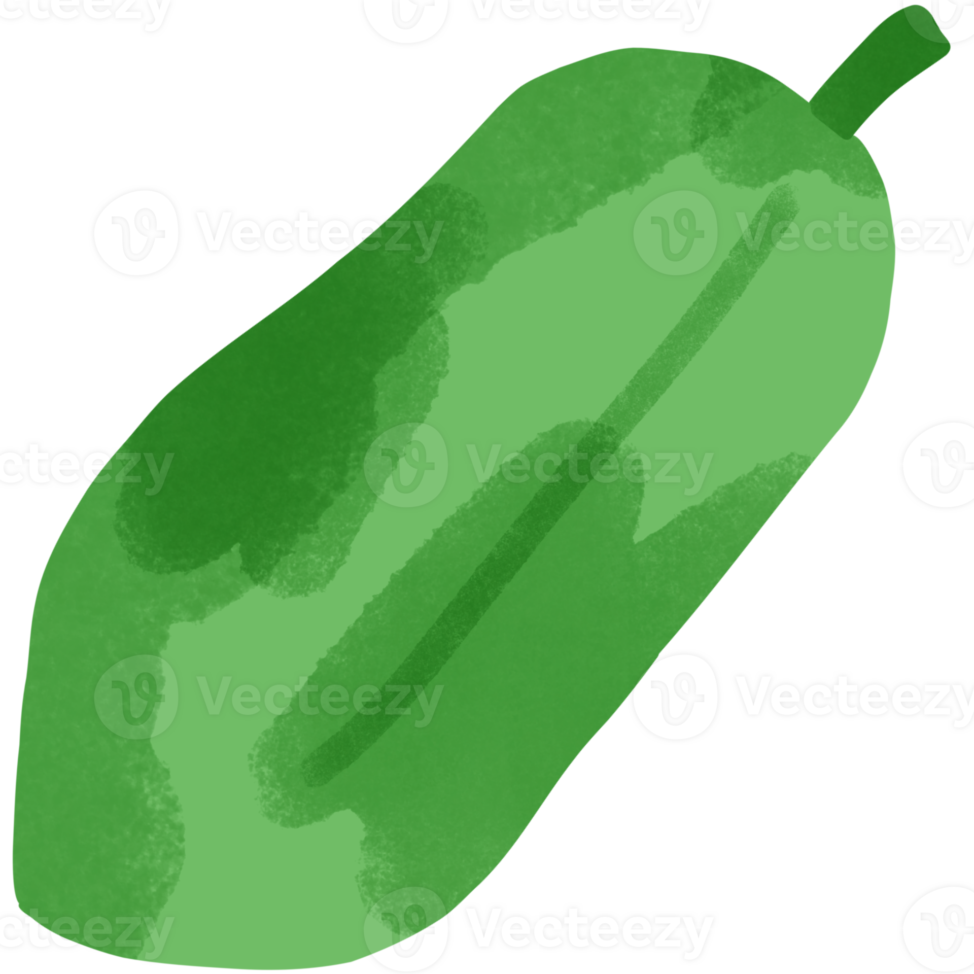 green papaya on a white background 27257630 PNG
