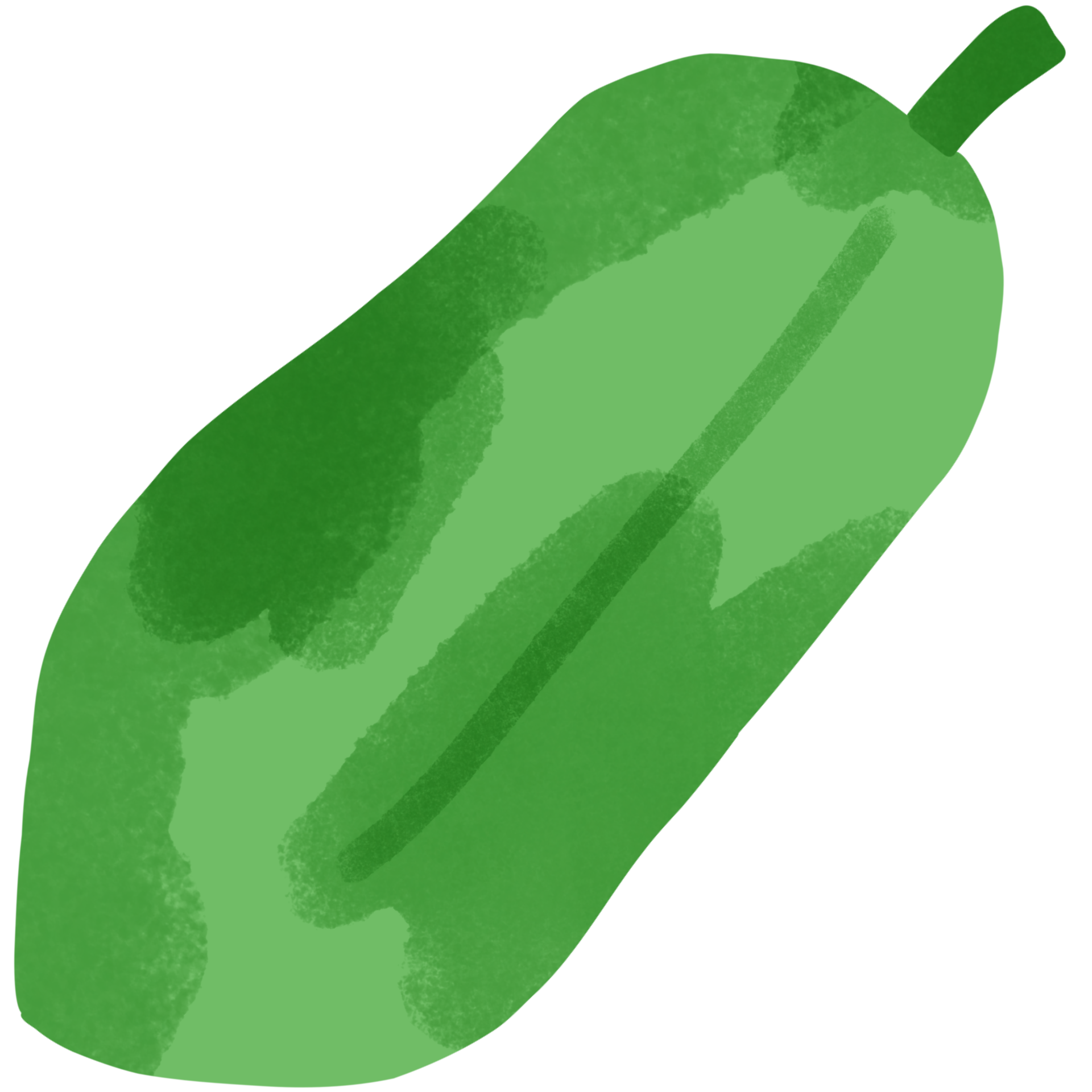 green papaya on a white background 27257630 PNG