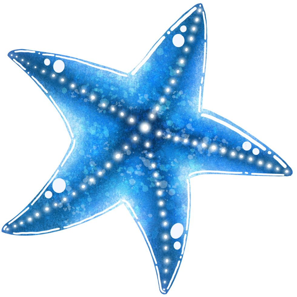 A blue starfish illustration png