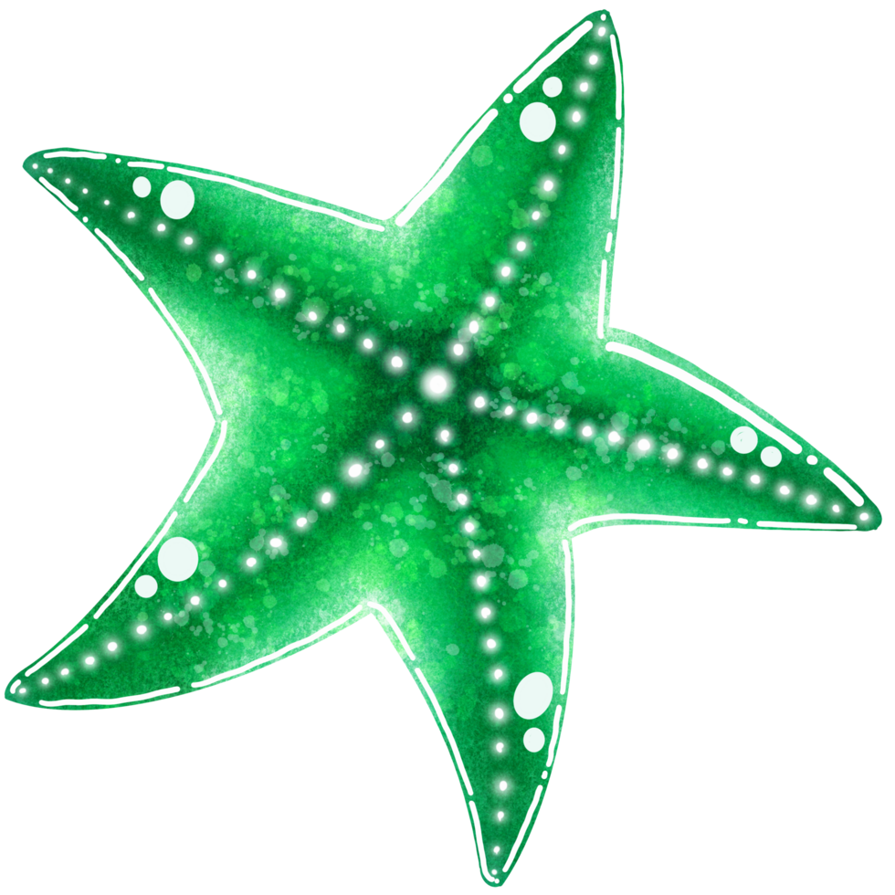 A green starfish illustration png