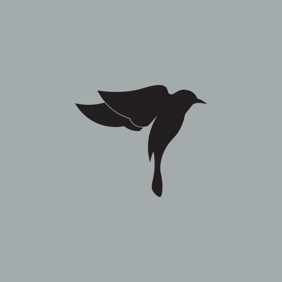 bird vector logo design