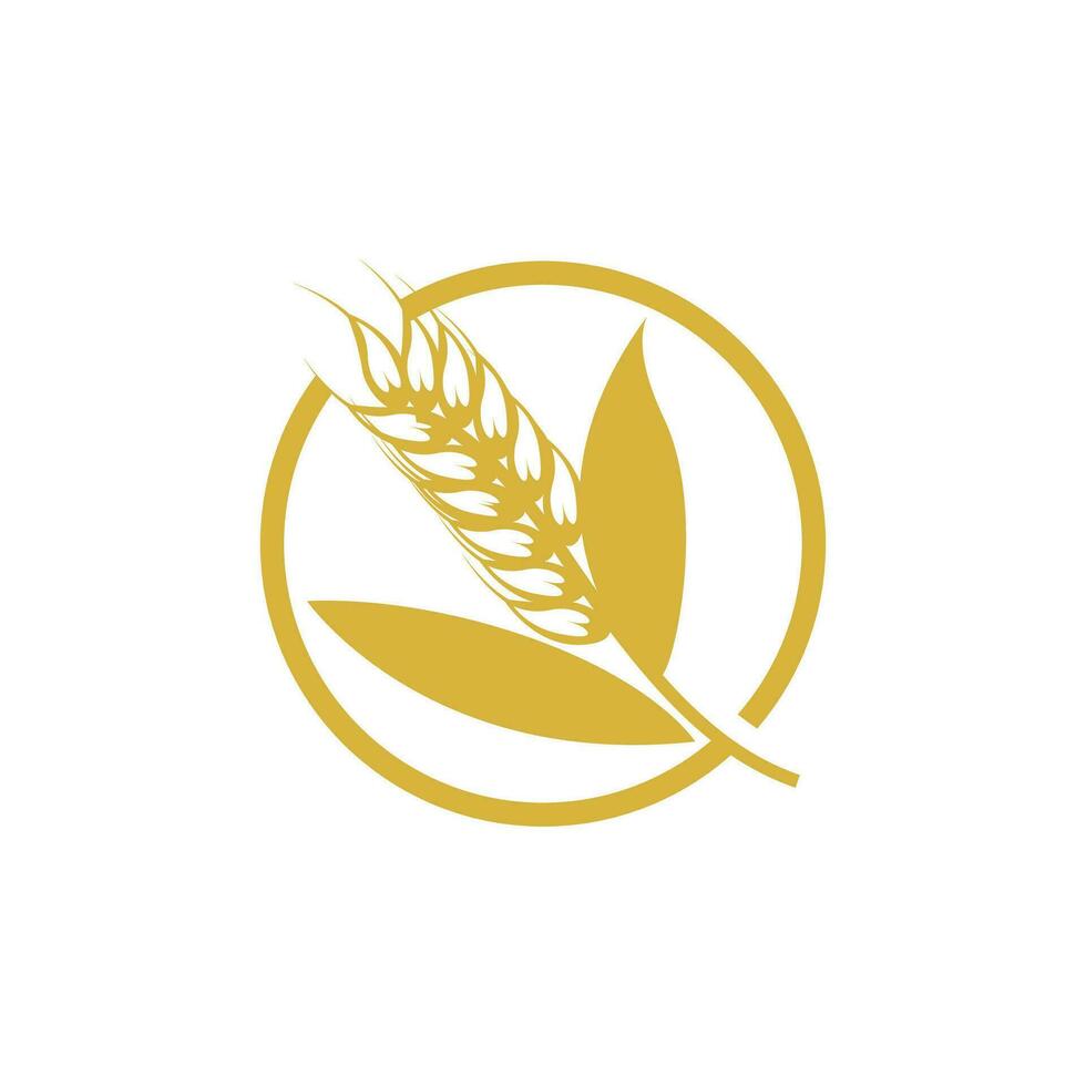 Wheat Logo, Simple Farmer Garden Design, Vector Template Silhouette Illustration