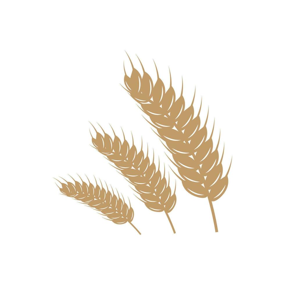 Wheat Logo, Simple Farmer Garden Design, Vector Template Silhouette Illustration