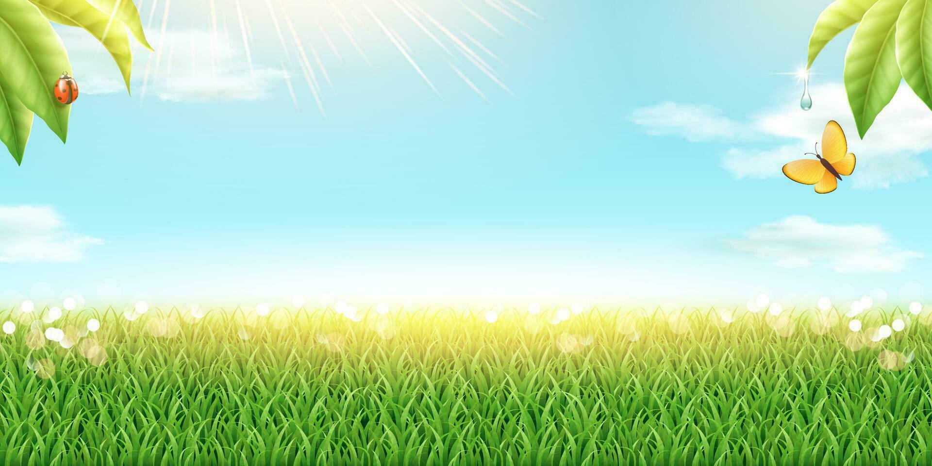 Refreshing green grass and blue sky background in 3d illustration vector