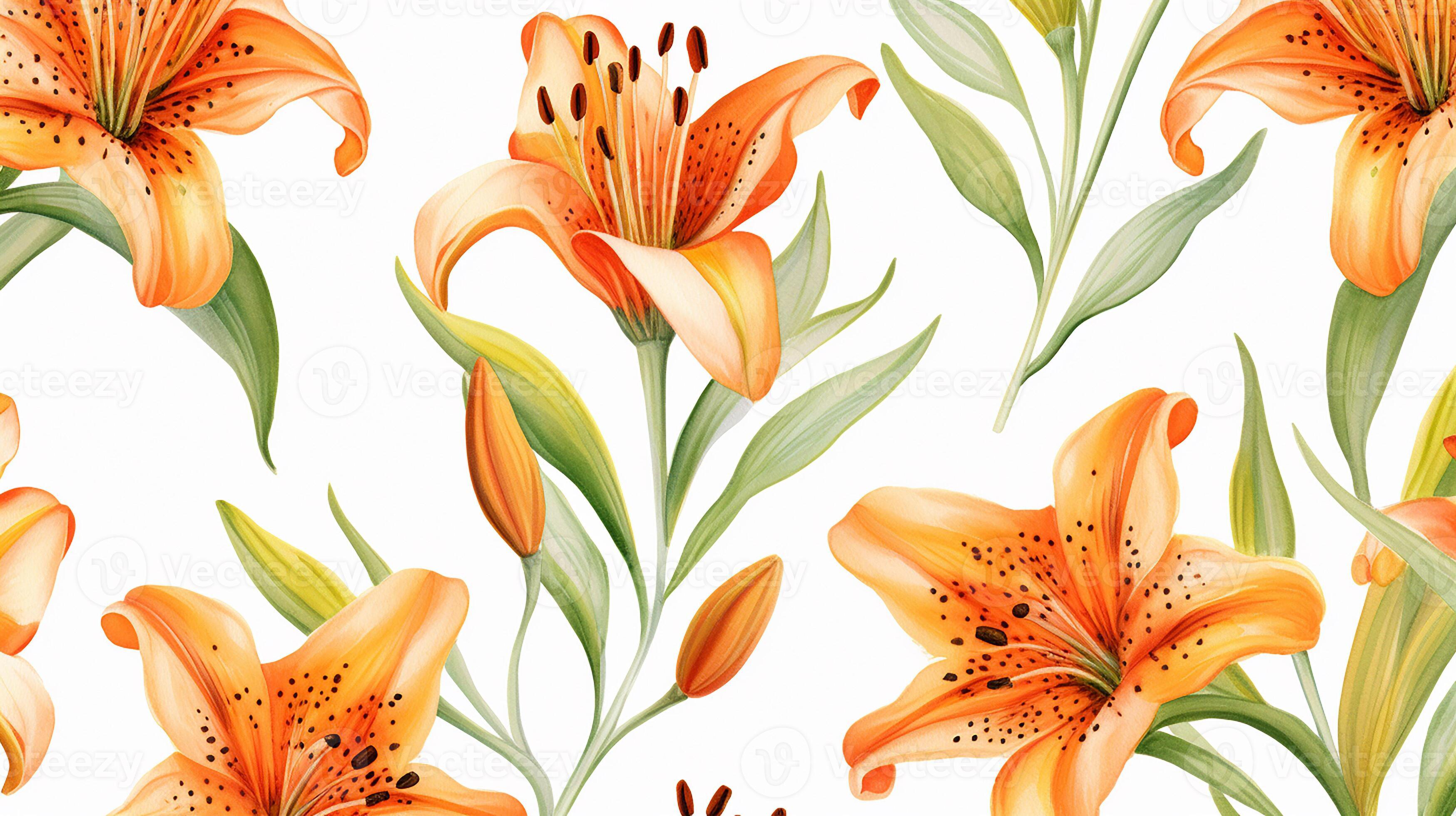 Seamless pattern of Tiger Lily flower in watercolor style isolated on