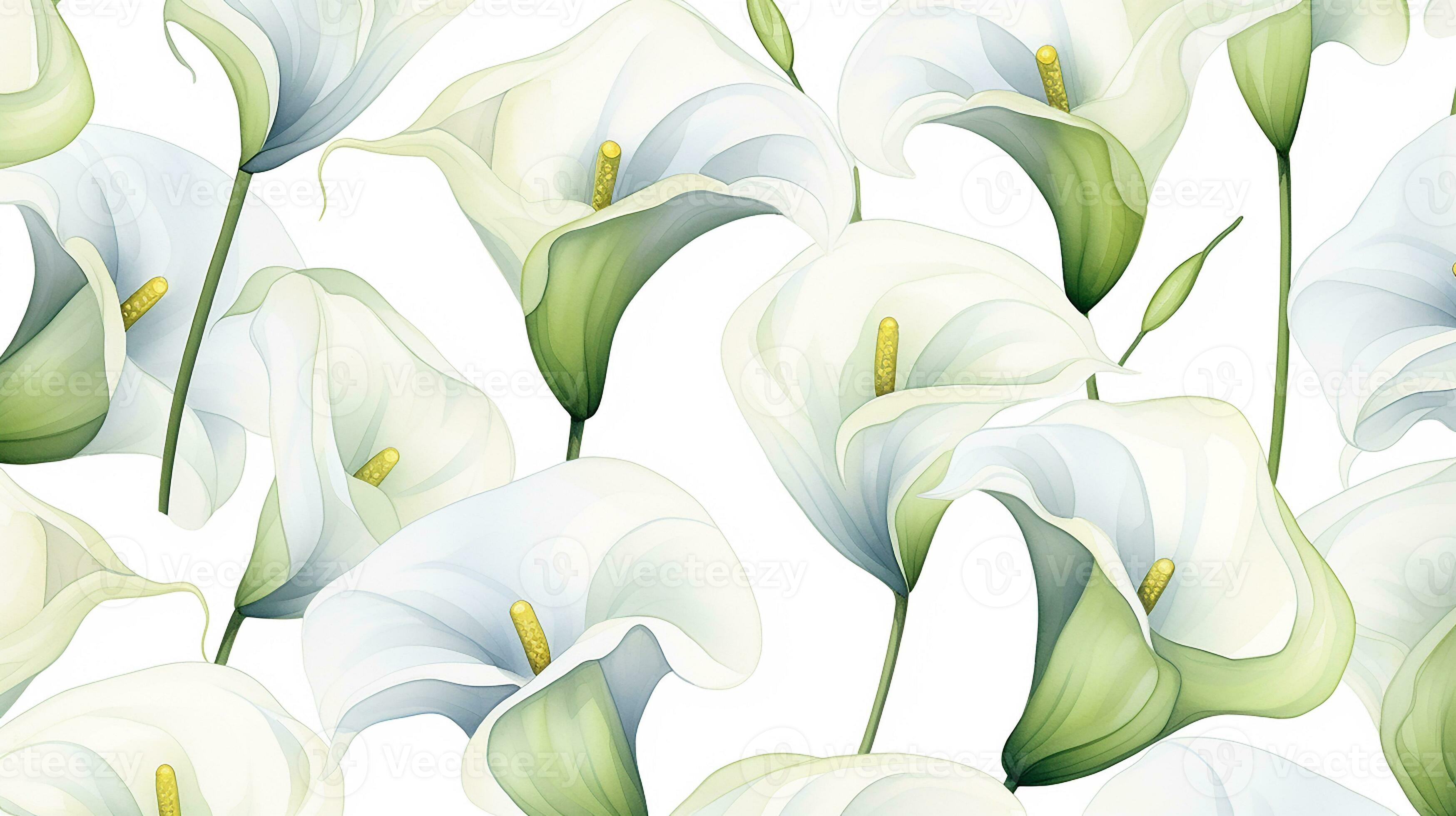 Seamless pattern of Calla Lily flower in watercolor style isolated on