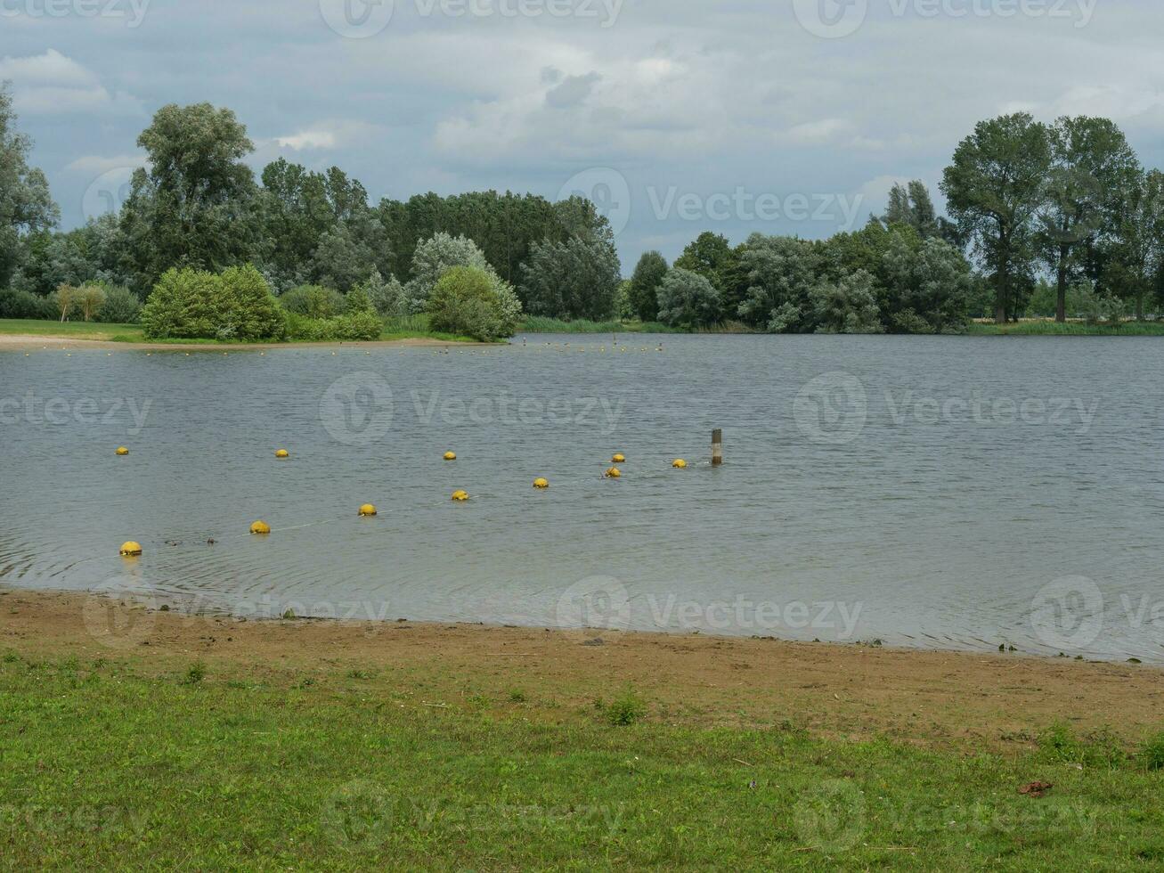 summer time in the netherlands photo