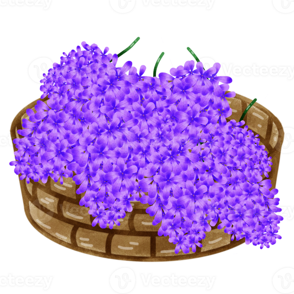 Purple vine flowers png