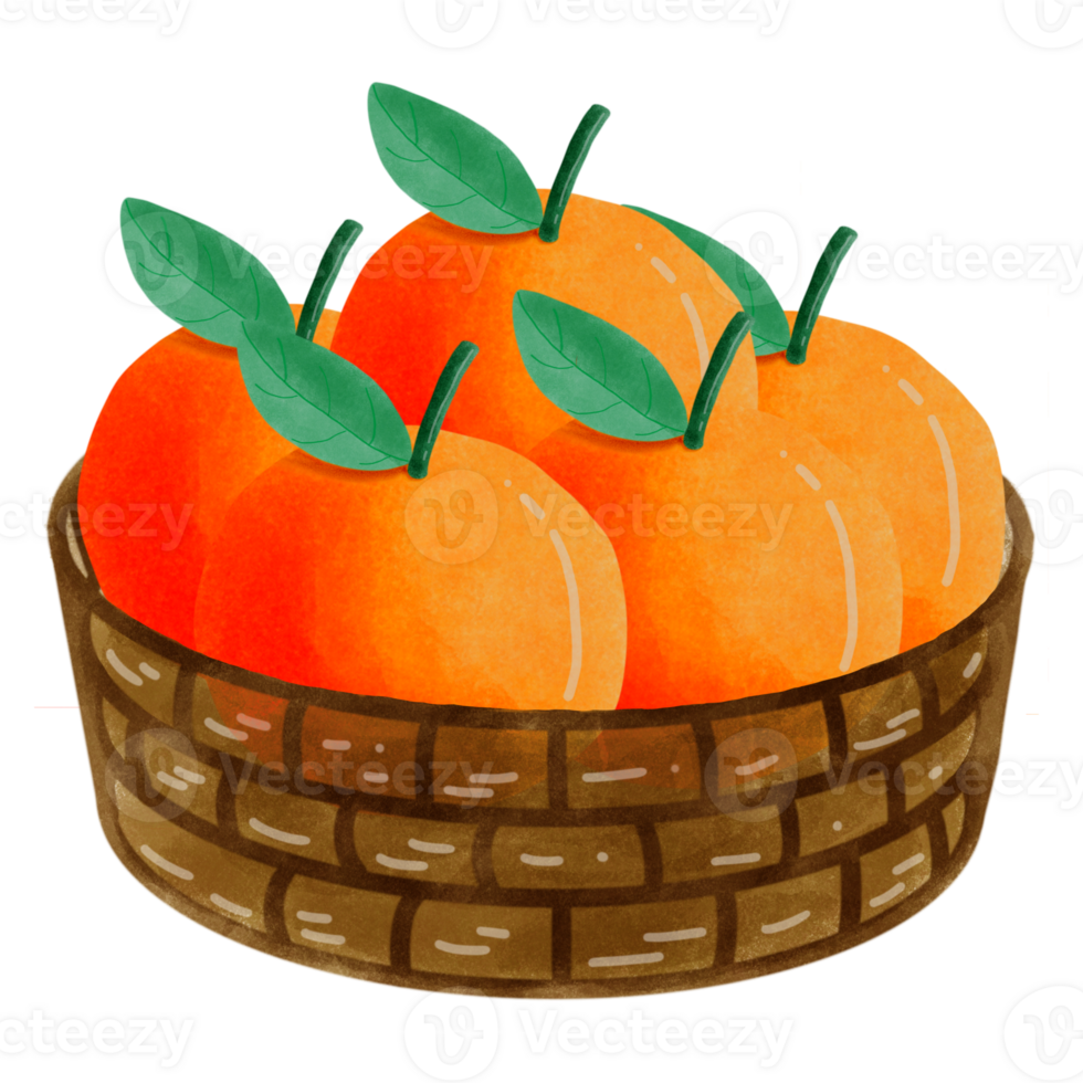 Fresh orange set png
