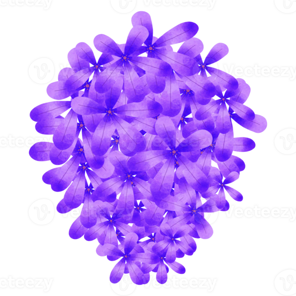 Purple vine flowers png