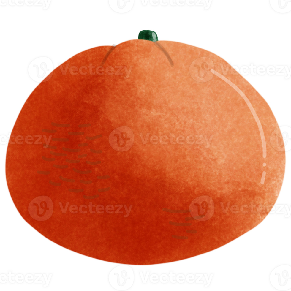 Fresh orange set 27261259 PNG