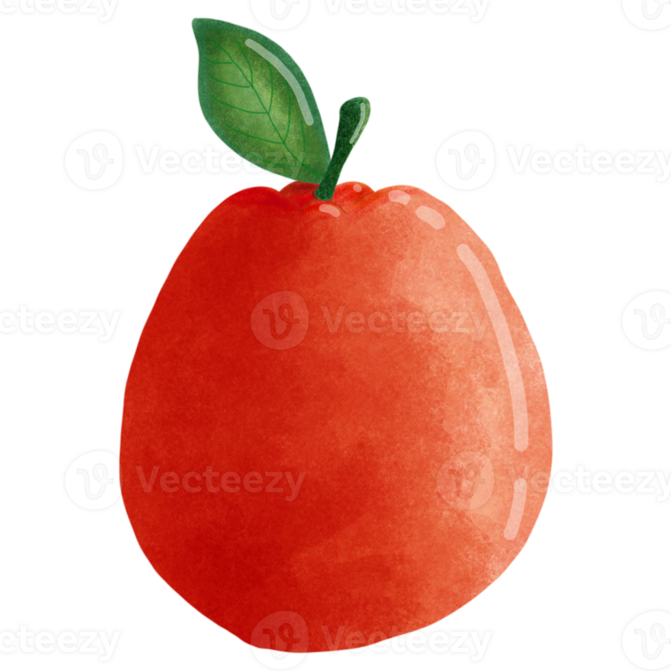 Fresh orange set png