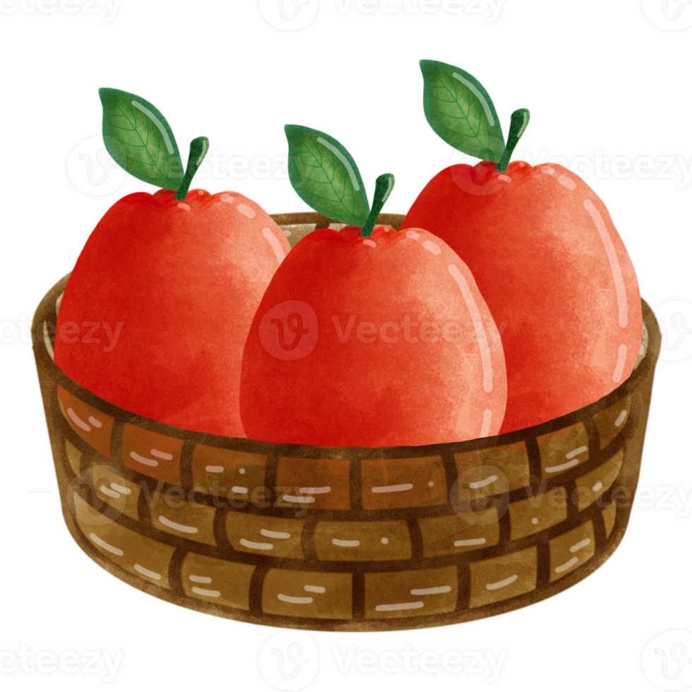 Fresh orange set png